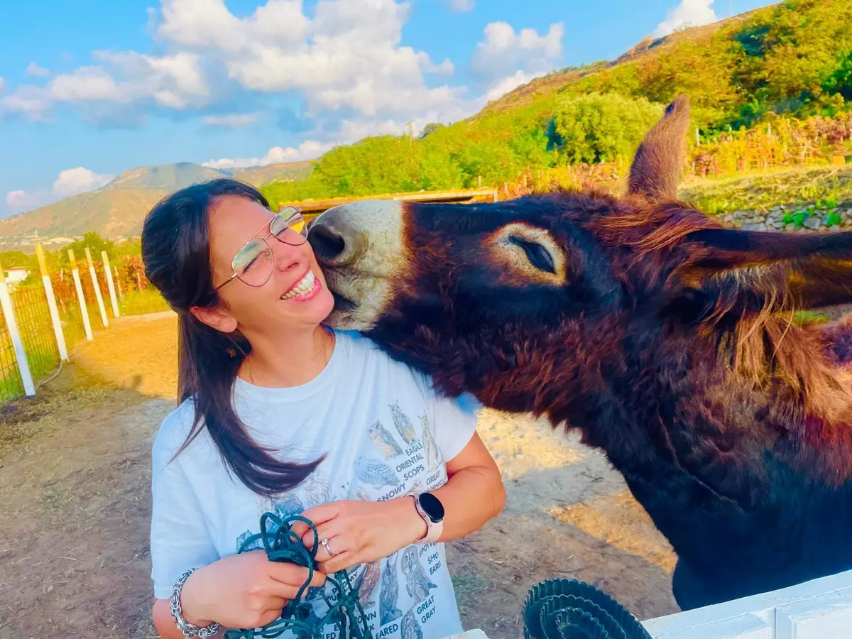Pet academy di Villa, al via il primo Centro estivo con gli animali