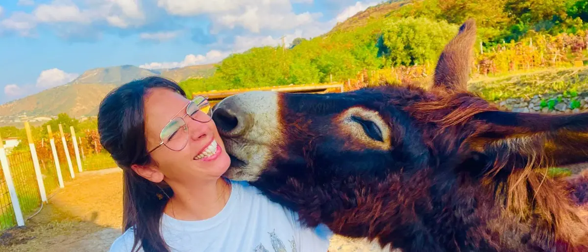 Pet academy di Villa, al via il primo Centro estivo con gli animali