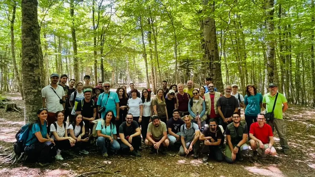 Aspromonte: escursione nella biodiversità alla scoperta di farfalle, api e della preziosa Rosalia alpina