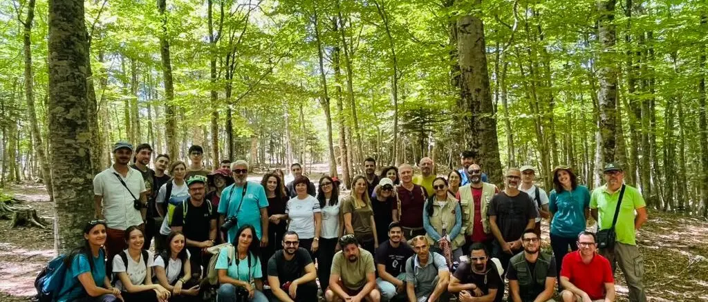 Aspromonte: escursione nella biodiversità alla scoperta di farfalle, api e della preziosa Rosalia alpina
