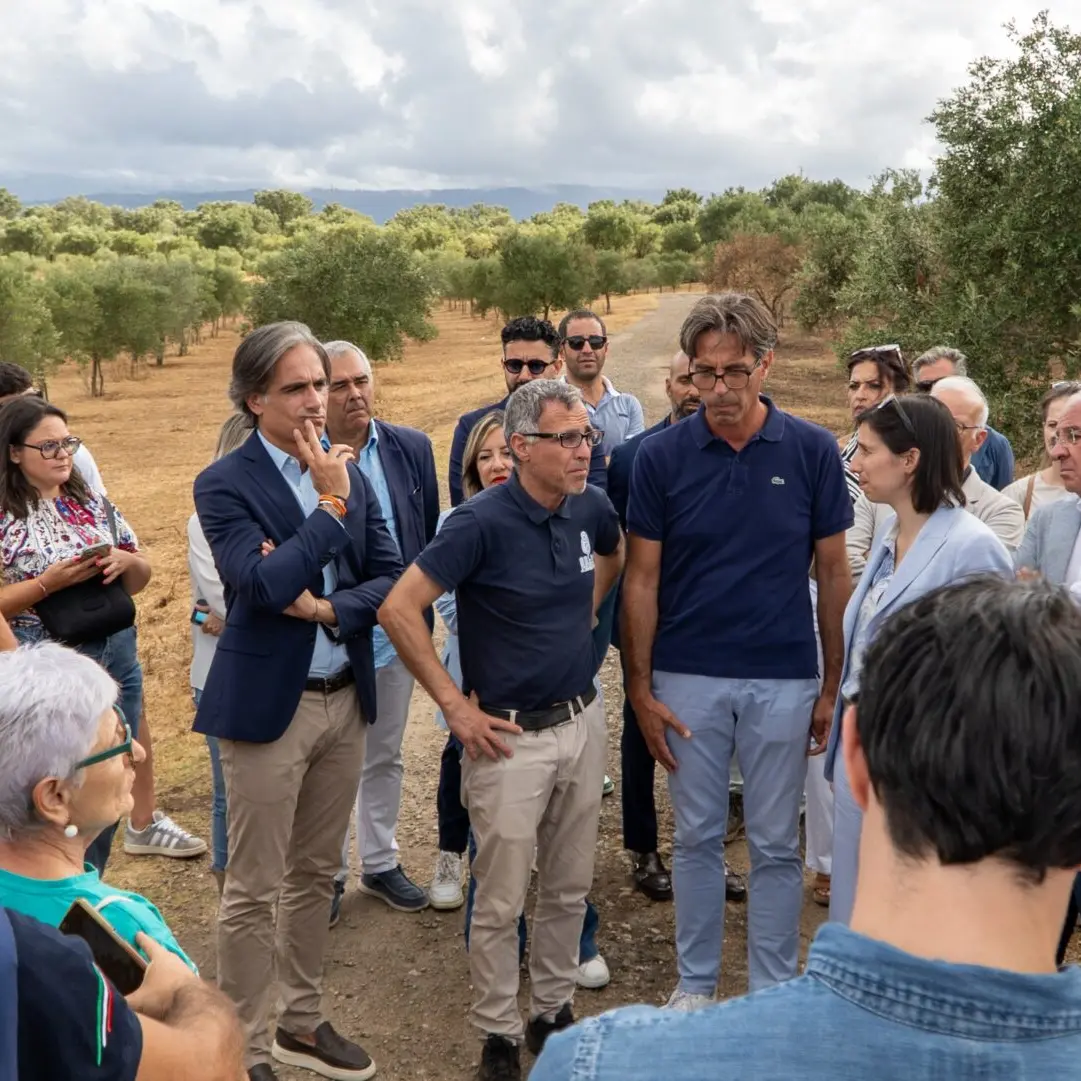 Falcomatà in visita alla Cooperativa Valle del Marro insieme alla Segretaria Elly Schlein
