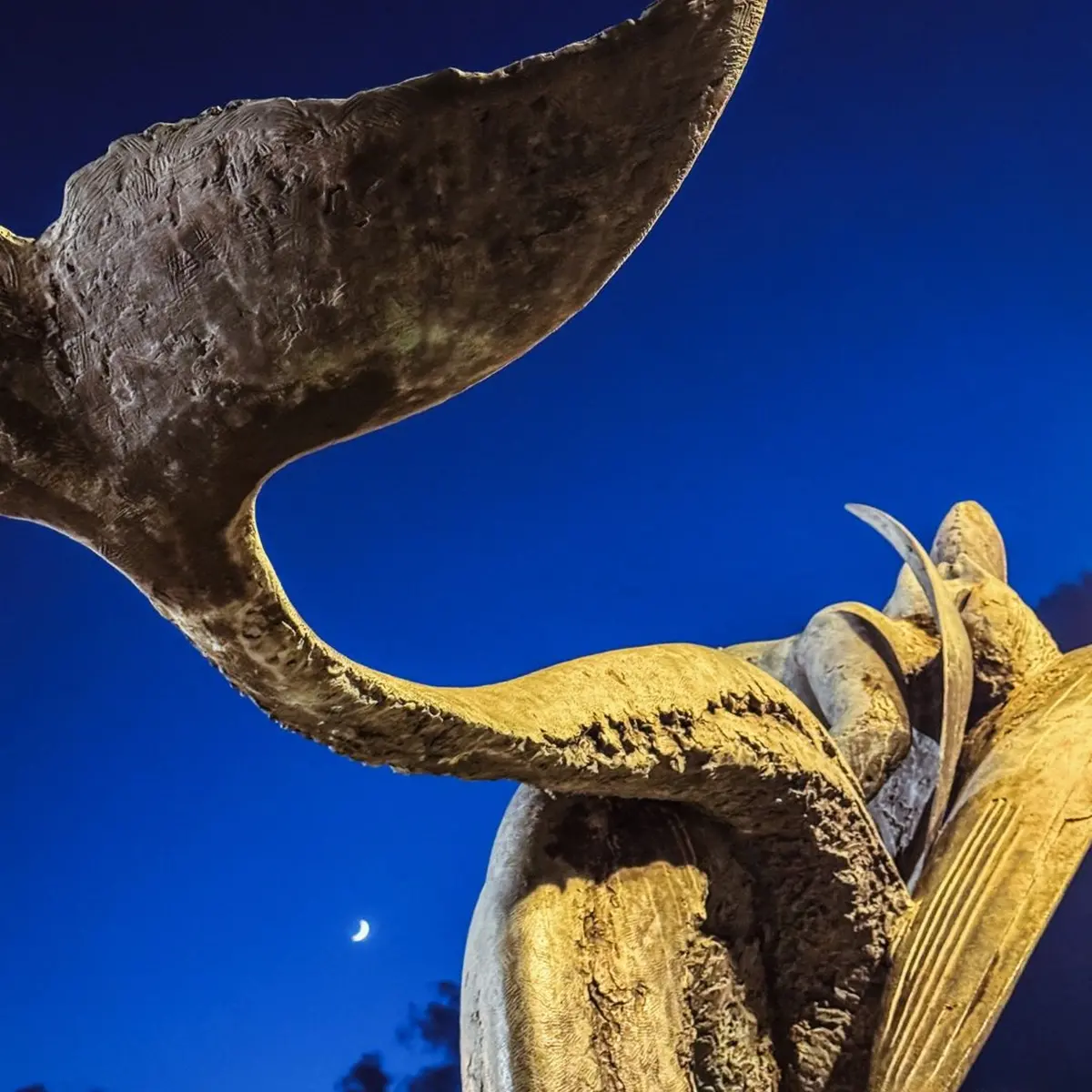 FOTO DEL GIORNO | Scilla e la luna