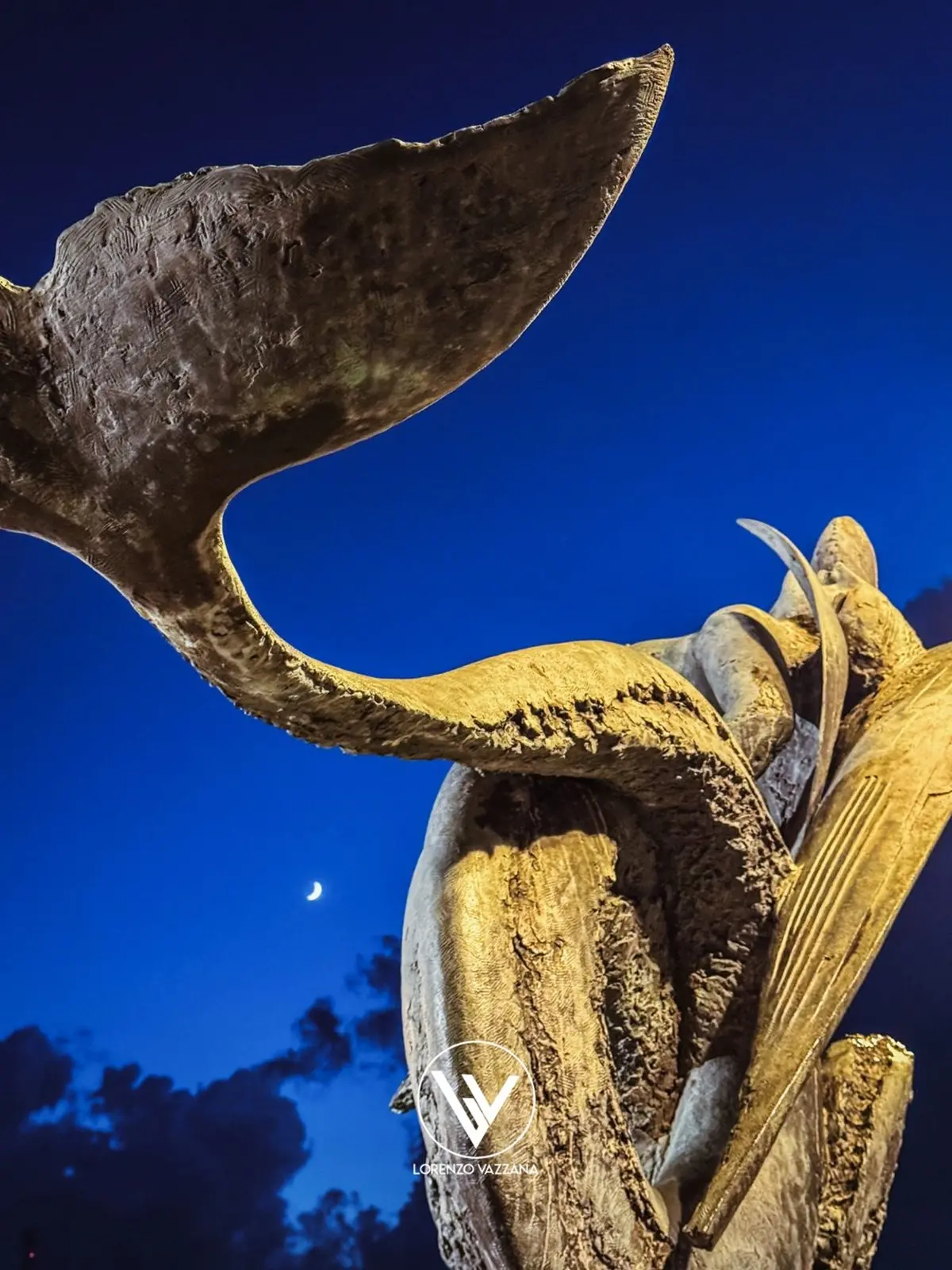 FOTO DEL GIORNO | Scilla e la luna