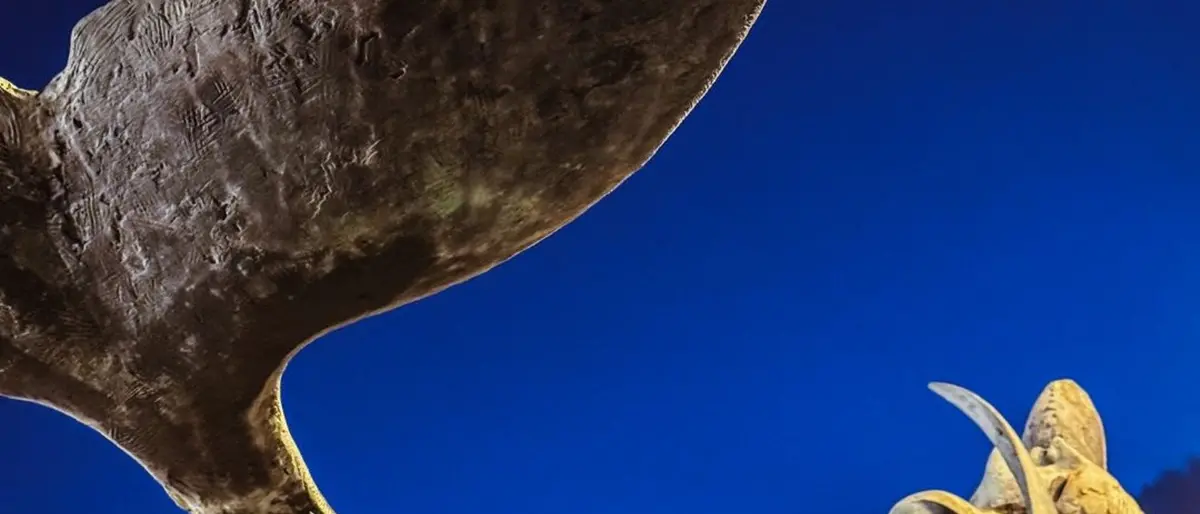 FOTO DEL GIORNO | Scilla e la luna