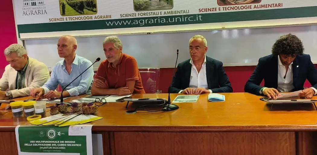 Gal Terre Locridee, agricoltura sostenibile: gli scarti diventano risorse con il progetto MultiFUN-RESCARD