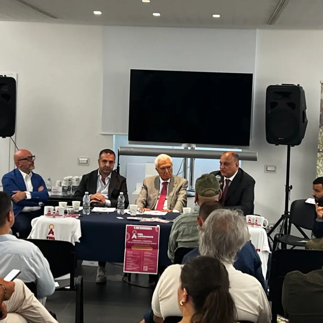 Comunità, imprese e istituzioni insieme per lo sviluppo dei borghi: al via il progetto \"Feel Aspromonte\"