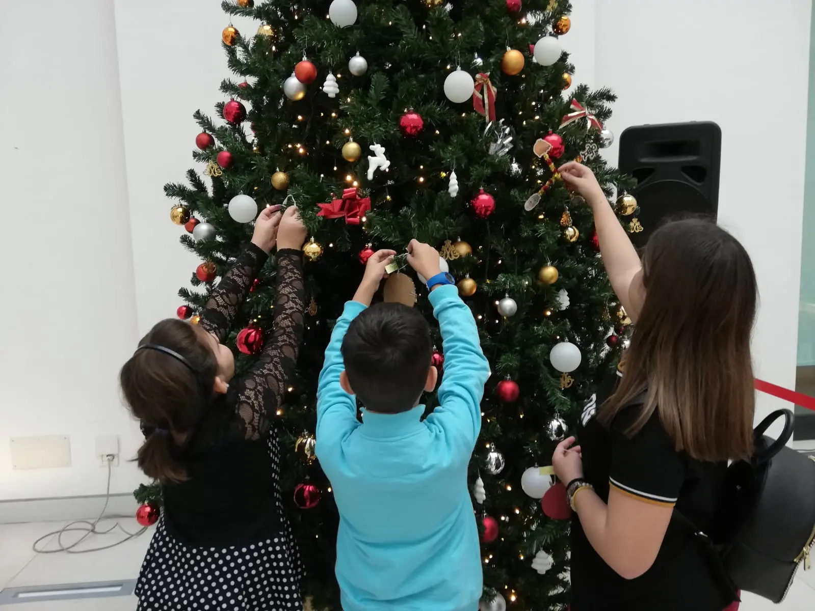 Ail, anche al MarRc importante contributo dei reggini alla ricerca