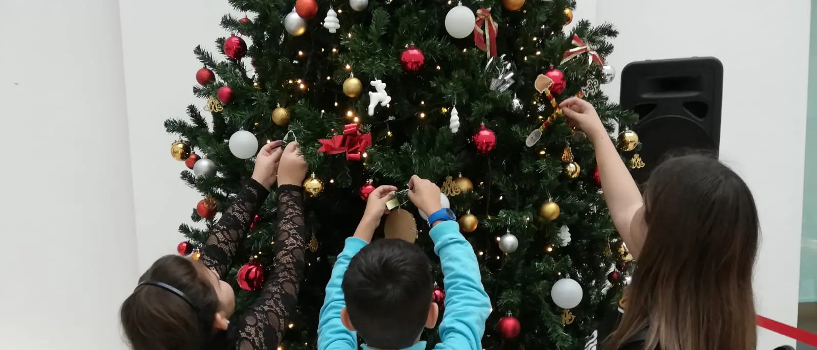 Ail, anche al MarRc importante contributo dei reggini alla ricerca