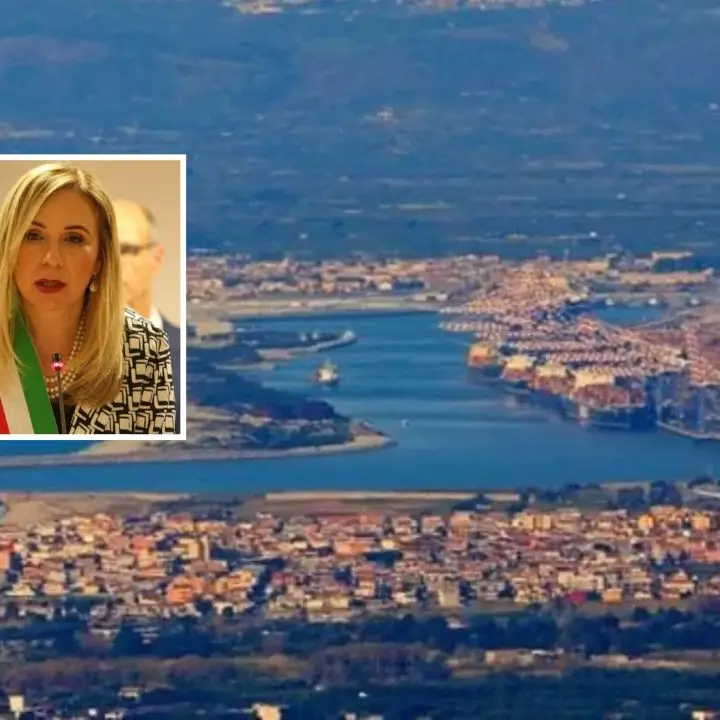 Polo nazionale DRI al Porto di Gioia Tauro, Scarcella sposa l'idea: «Dobbiamo diventare il Sud industrializzato»