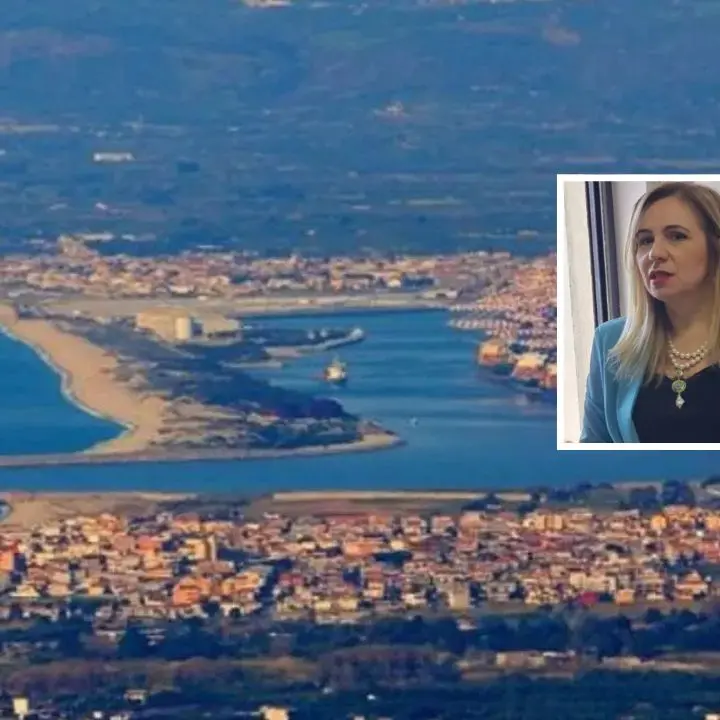 Protesta dei dipendenti dell'agenzia delle dogane del porto di Gioia Tauro
