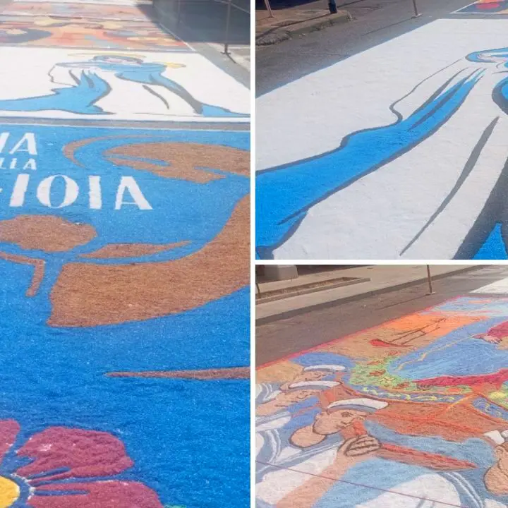 Gioia Tauro, arte, fede e tradizione, con la suggestiva infiorata dedicata a \"Maria Madre della Gioia\"
