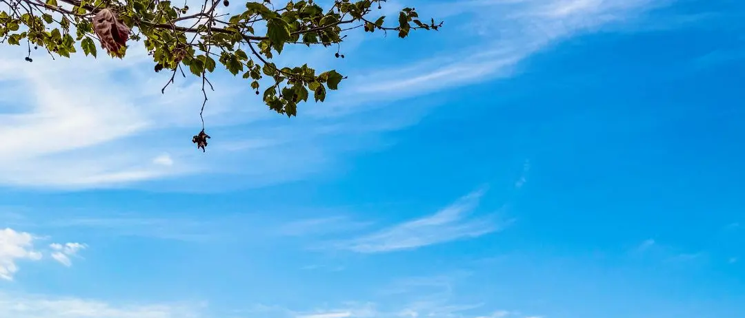 LA FOTO DEL GIORNO | Il paradiso all'improvviso: affacciati sullo Stretto