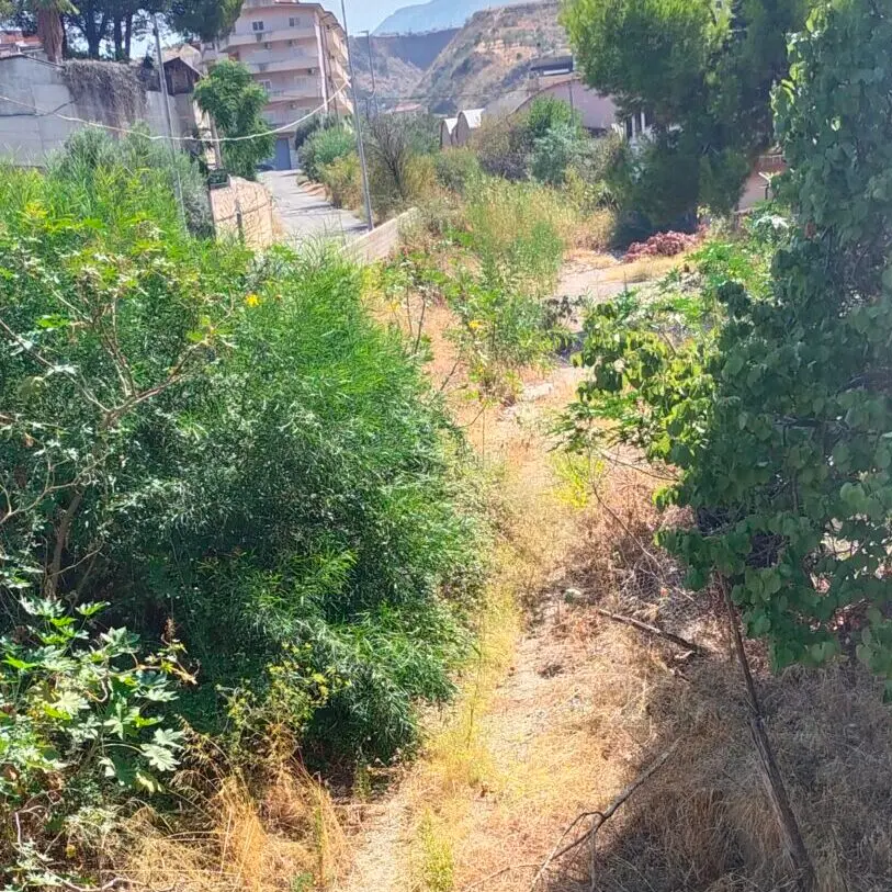 Vallone Lagani, AVS denuncia rischio esondazioni e incendi: «Serve bonifica urgente»