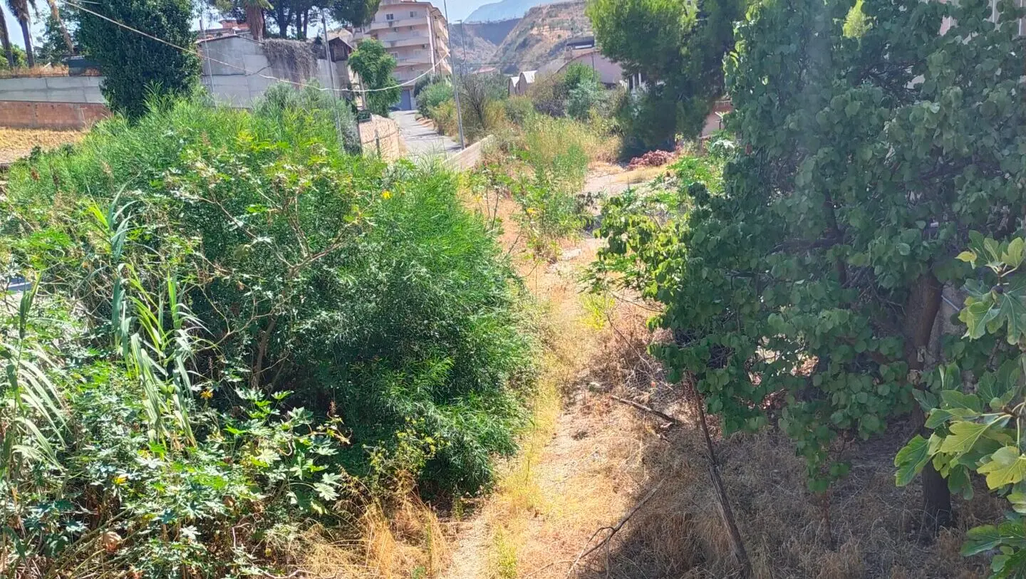 Vallone Lagani, AVS denuncia rischio esondazioni e incendi: «Serve bonifica urgente»