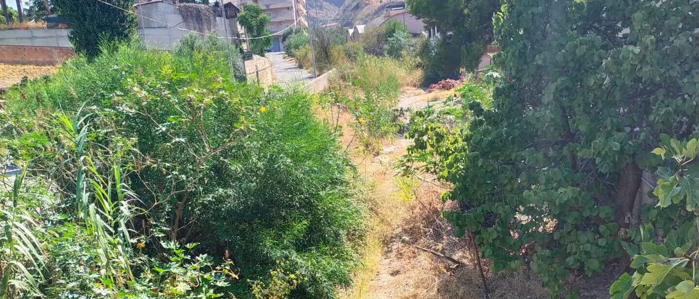 Vallone Lagani, AVS denuncia rischio esondazioni e incendi: «Serve bonifica urgente»