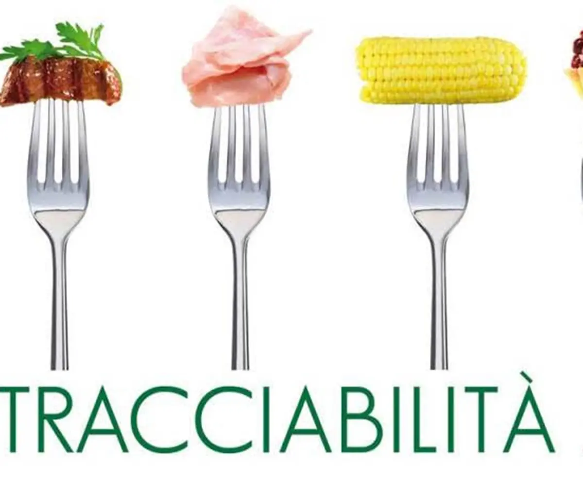 Alimenti, Paolillo: «Tracciabilità e rintracciabilità dei prodotti alimentari locali non sono sinonimi»