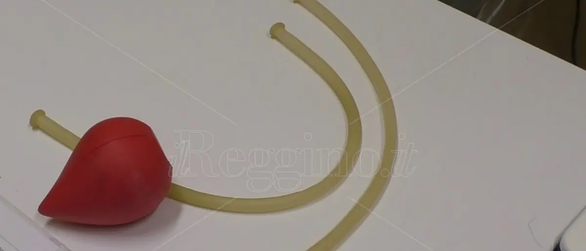 Raccolta sangue, nuova chiamata dell’Avis: «Un gesto semplice per aiutare chi soffre. Venite a donare» - VIDEO