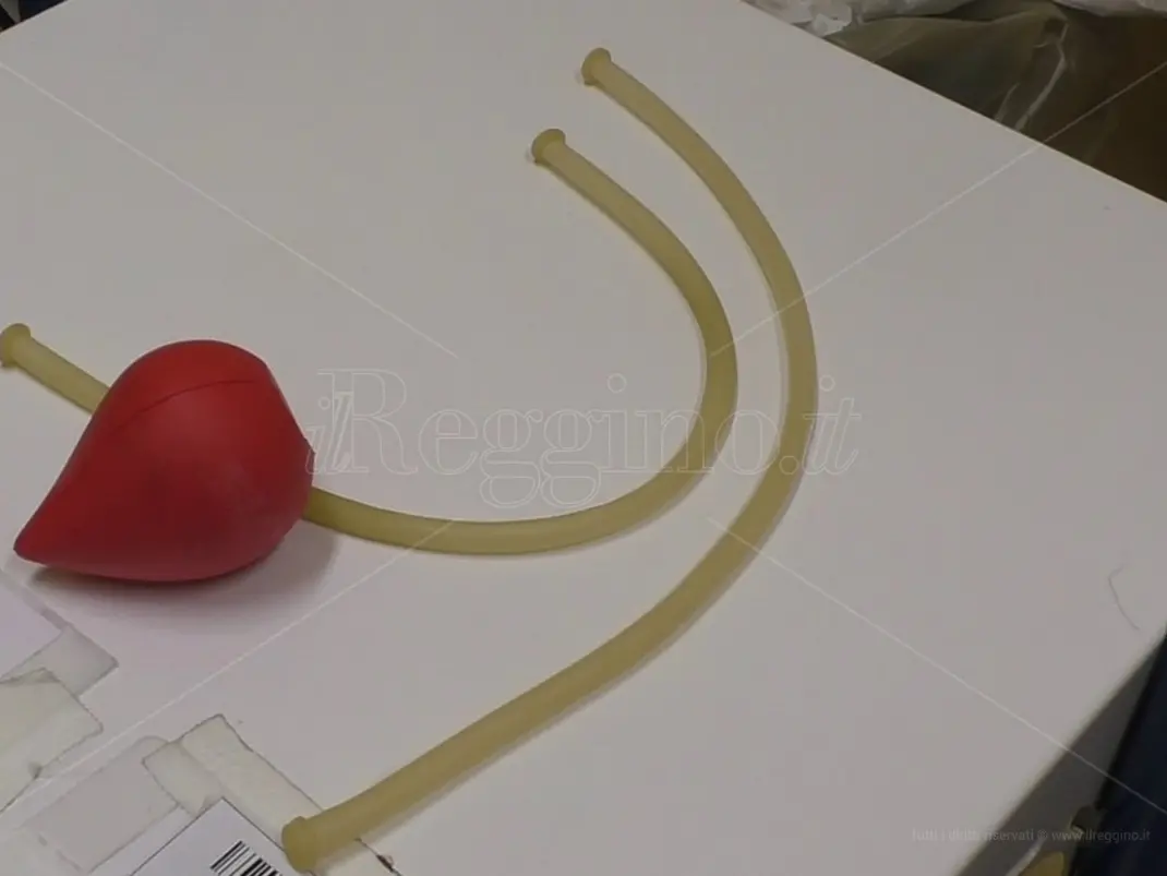 Raccolta sangue, nuova chiamata dell’Avis: «Un gesto semplice per aiutare chi soffre. Venite a donare» - VIDEO