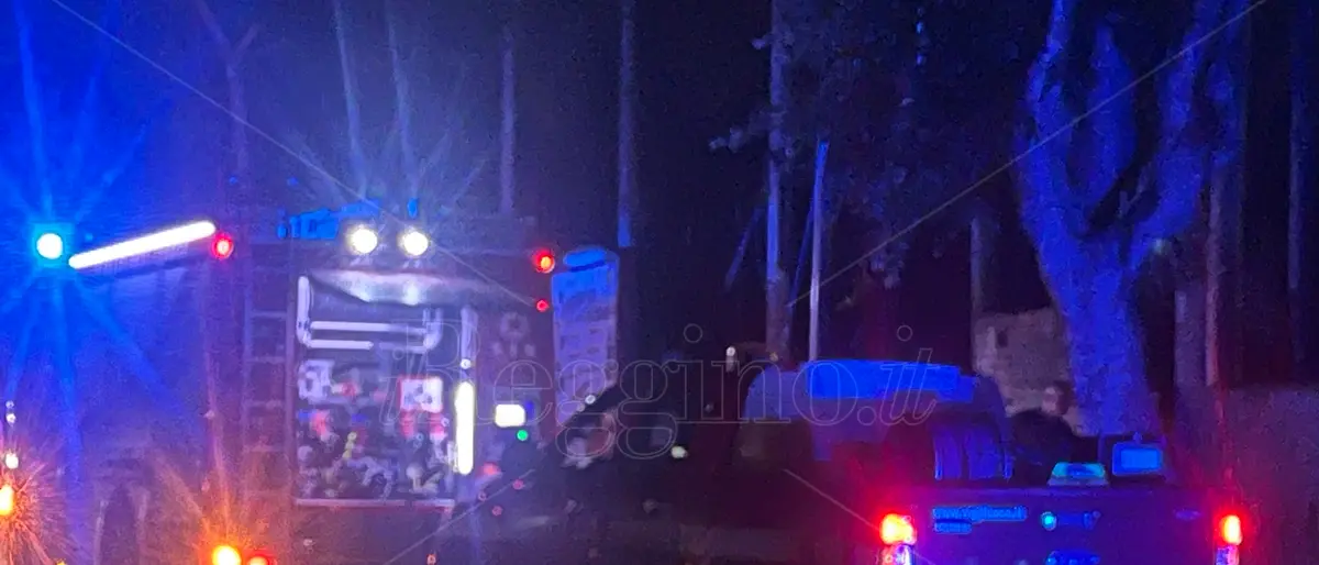 Reggio, a fuoco sterpaglie e rifiuti accanto al campo “Aldo Penna” di Modena - FOTO