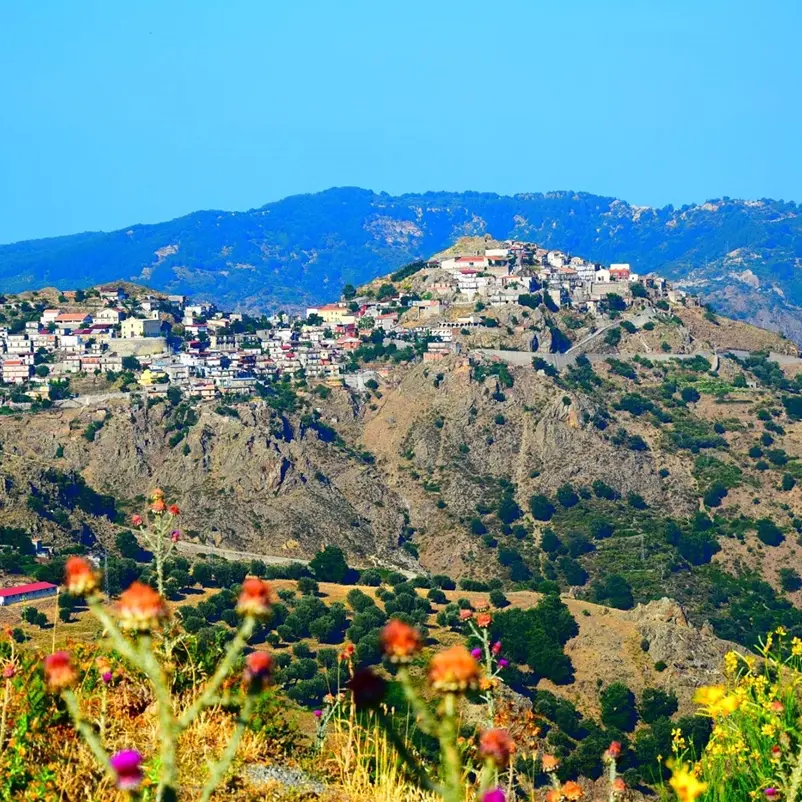 Roccaforte del Greco, Penna: «Sempre molto sentita la devozione a Maria Santissima Assunta in Cielo»