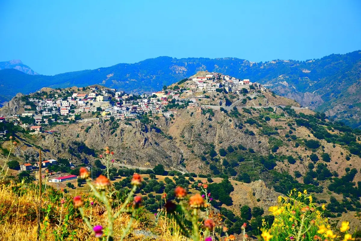 Roccaforte del Greco, Penna: «Sempre molto sentita la devozione a Maria Santissima Assunta in Cielo»
