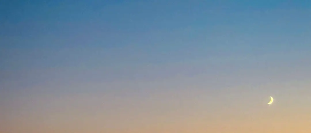 LA FOTO DEL GIORNO | Custode del tramonto