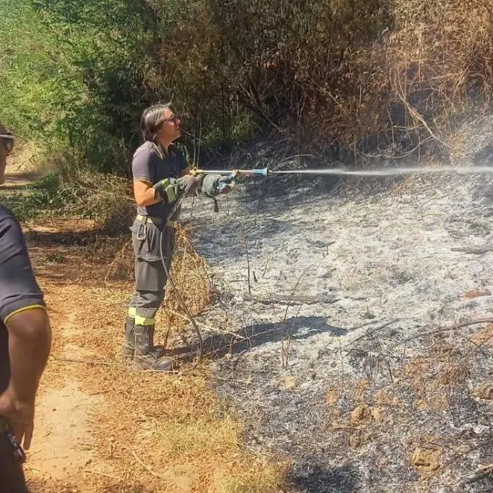 Cinquefrondi, incendiati terreni di famiglia del sindaco Conia: «Continuo a testa alta»