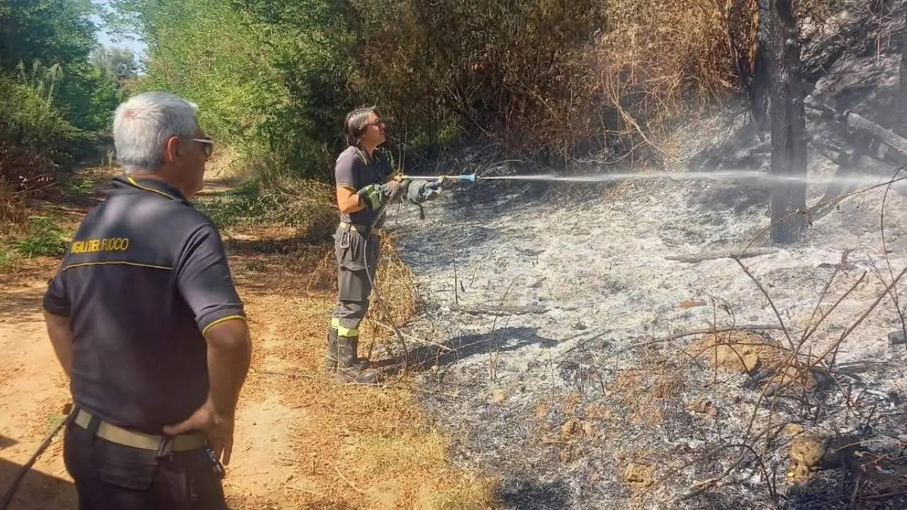 Cinquefrondi, incendiati terreni di famiglia del sindaco Conia: «Continuo a testa alta»