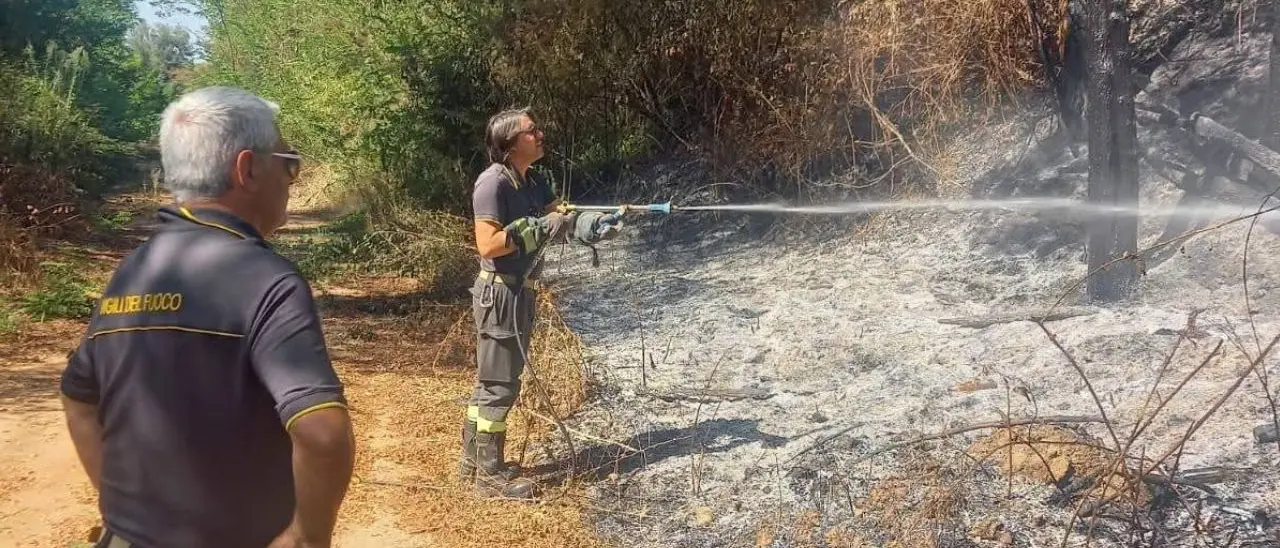 Cinquefrondi, incendiati terreni di famiglia del sindaco Conia: «Continuo a testa alta»