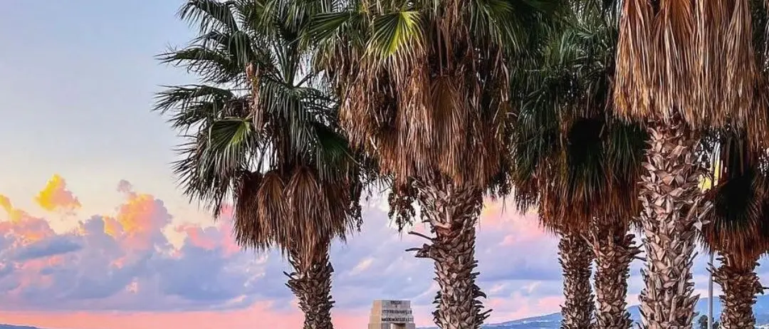 LA FOTO DEL GIORNO | La quiete di Athena