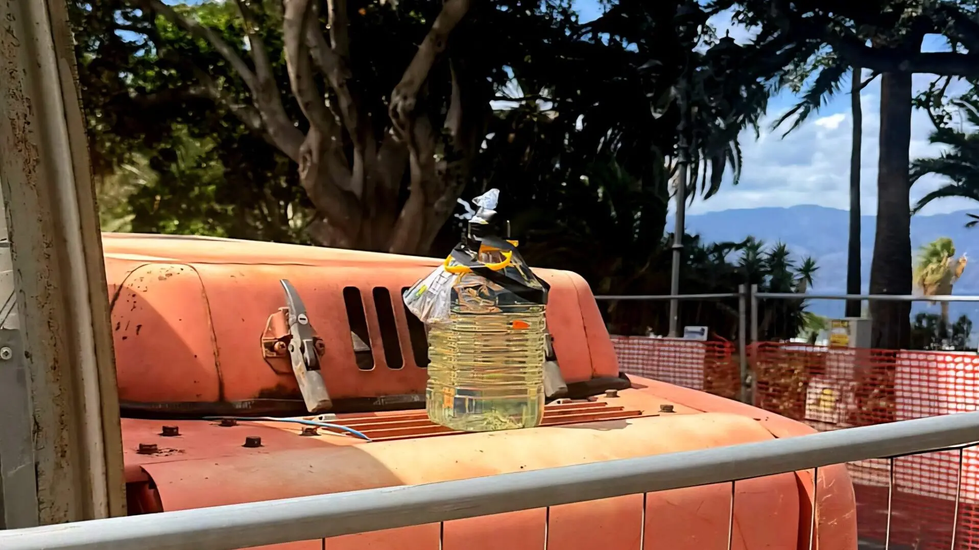 Atti intimidatori a Reggio, l'affondo di Libera: «La 'ndrangheta alza il tiro perché è in difficoltà»