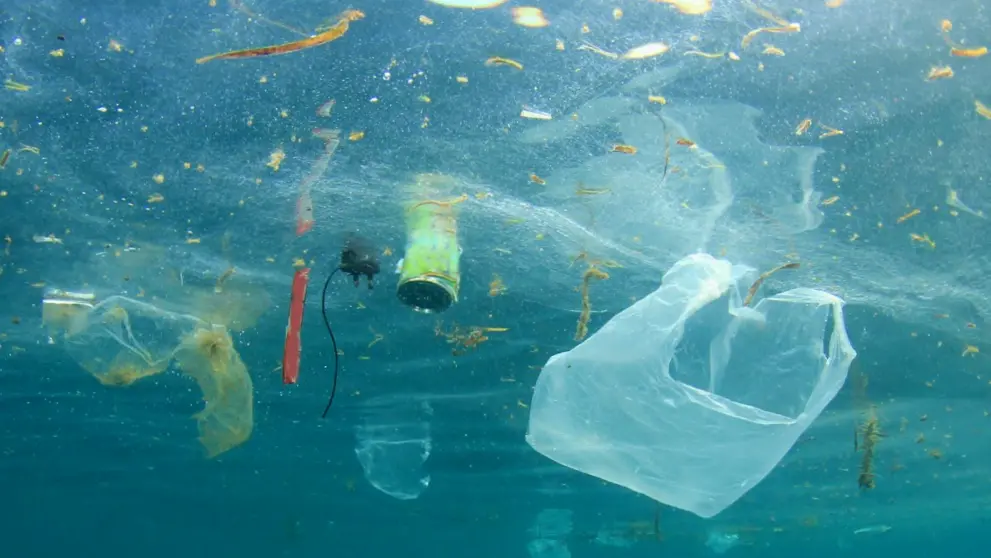 Il report di Legambiente \"Mare Monstrum\" 2025: in Calabria boom di reati lungo le coste