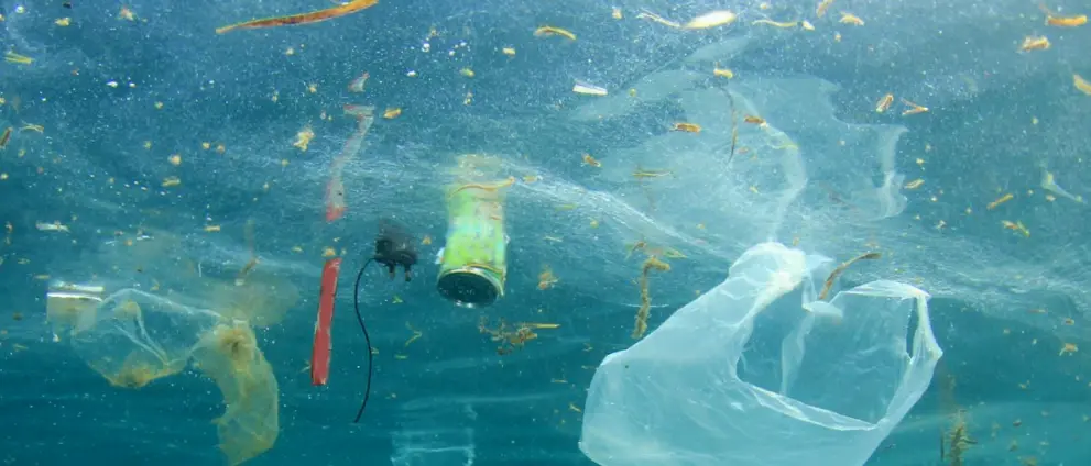 Il report di Legambiente \"Mare Monstrum\" 2025: in Calabria boom di reati lungo le coste