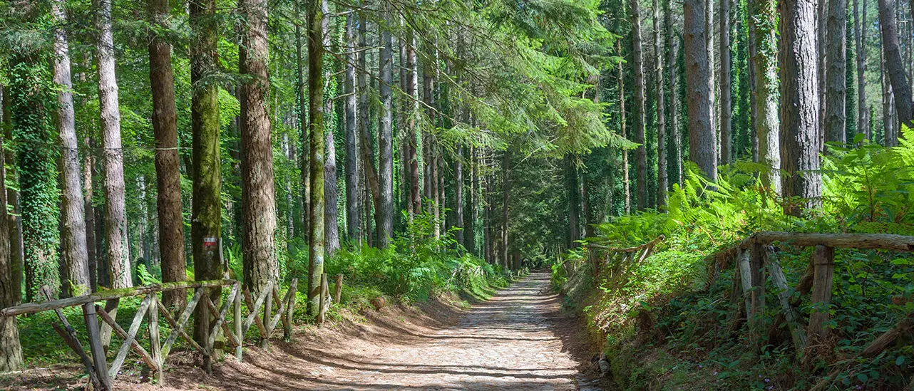 Canolo, alla scoperta dei “sentieri dimenticati”: domenica l’escursione su “’U pracusu di Trippa Cotta”
