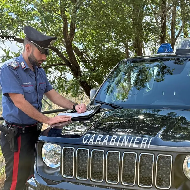 Seminara, sequestrata area di accumulo di rifiuti organici rivenduti come compost: denunciati i titolari dell'azienda di smaltimento - VIDEO