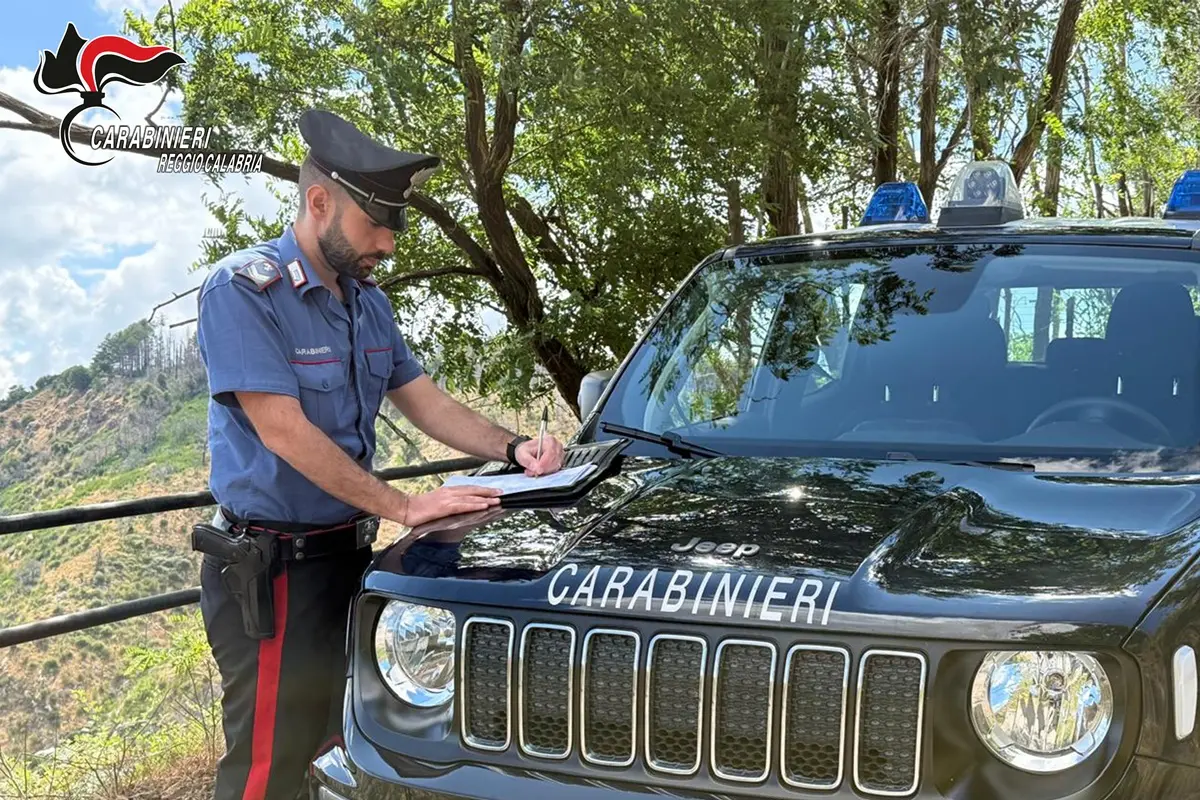 Seminara, sequestrata area di accumulo di rifiuti organici rivenduti come compost: denunciati i titolari dell'azienda di smaltimento - VIDEO