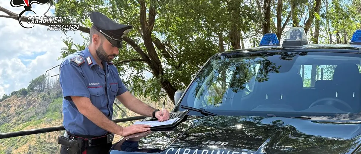 Seminara, sequestrata area di accumulo di rifiuti organici rivenduti come compost: denunciati i titolari dell'azienda di smaltimento - VIDEO