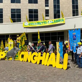 Reggio Coldiretti: dalla Città Metropolitana primi ristori per i danni da cinghiali