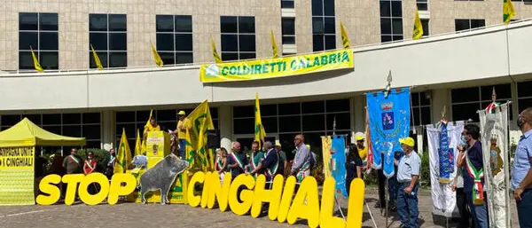 Reggio Coldiretti: dalla Città Metropolitana primi ristori per i danni da cinghiali