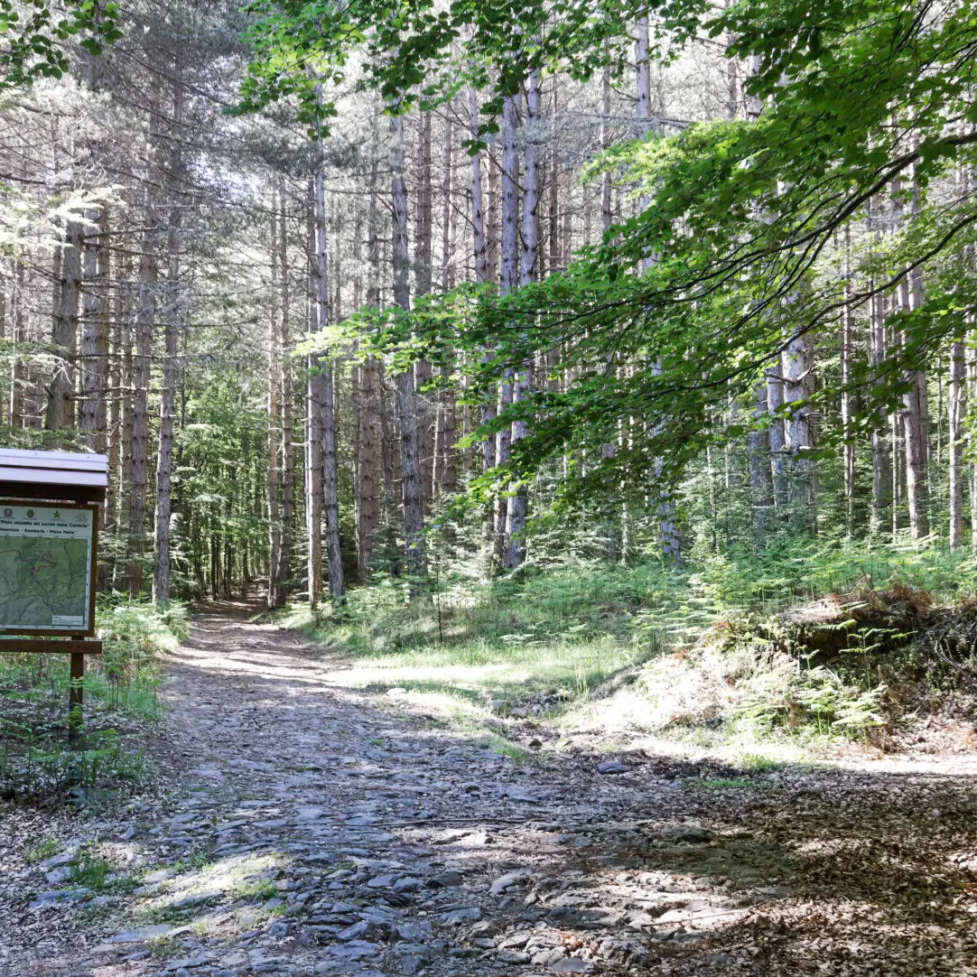 Aspromonte, un’escursione ad anello tra i Piani di Carmelia e la Serra Pietra Tagliata