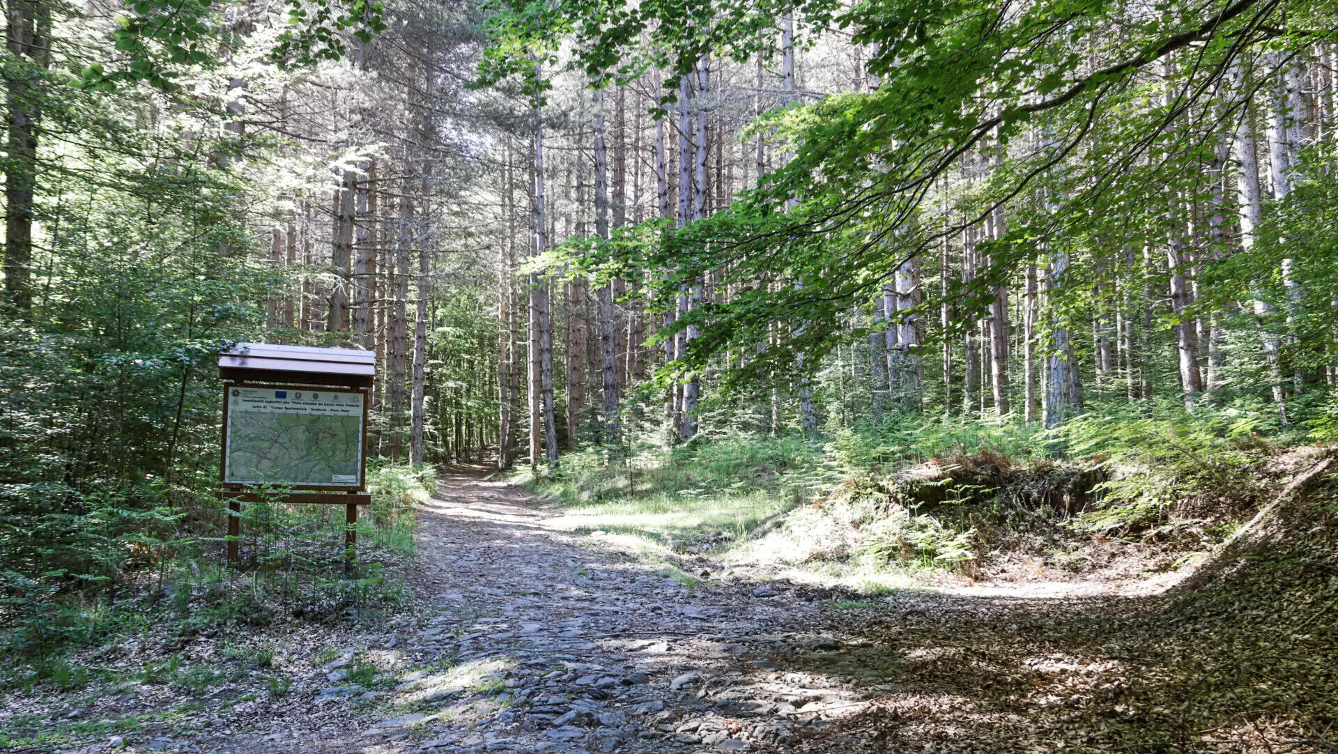 Aspromonte, un’escursione ad anello tra i Piani di Carmelia e la Serra Pietra Tagliata
