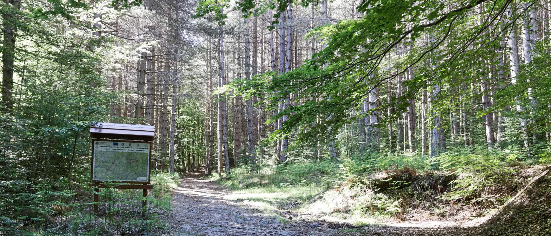Aspromonte, un’escursione ad anello tra i Piani di Carmelia e la Serra Pietra Tagliata