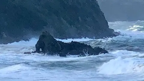 Il forte vento ha abbattuto alberi e scoperchiato i tetti di alcune abitazioni. Imbarcazioni spazzate via dalla furia dell\\'acqua e lungomare allagato