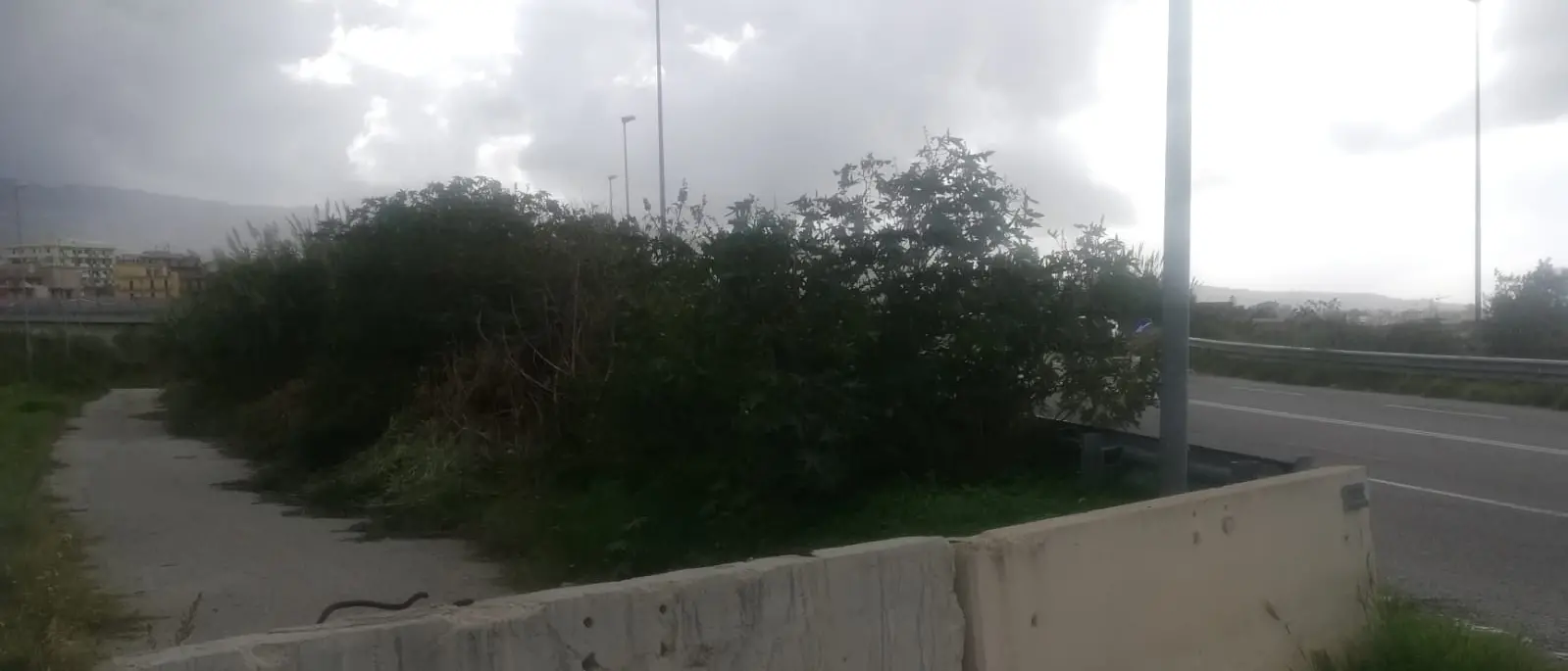 Viabilità, disagi in contrada Livari. La denuncia di Occhipinti (Udc)