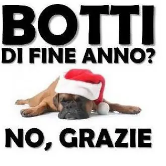 Vietati i botti e i fuochi d'artificio per tutto il periodo natalizio