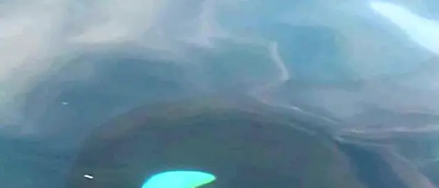 Le orche di Genova avvistate in direzione di Scilla