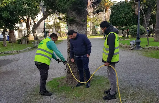 Villa comunale, interventi di miglioramento del suolo a protezione dei ficus