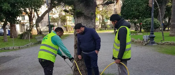 Villa comunale, interventi di miglioramento del suolo a protezione dei ficus