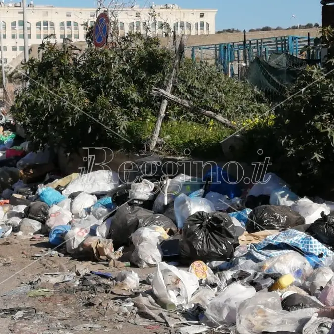 I Verdi sui rifiuti: «L'Asp verifichi se è in atto un'emergenza sanitaria»