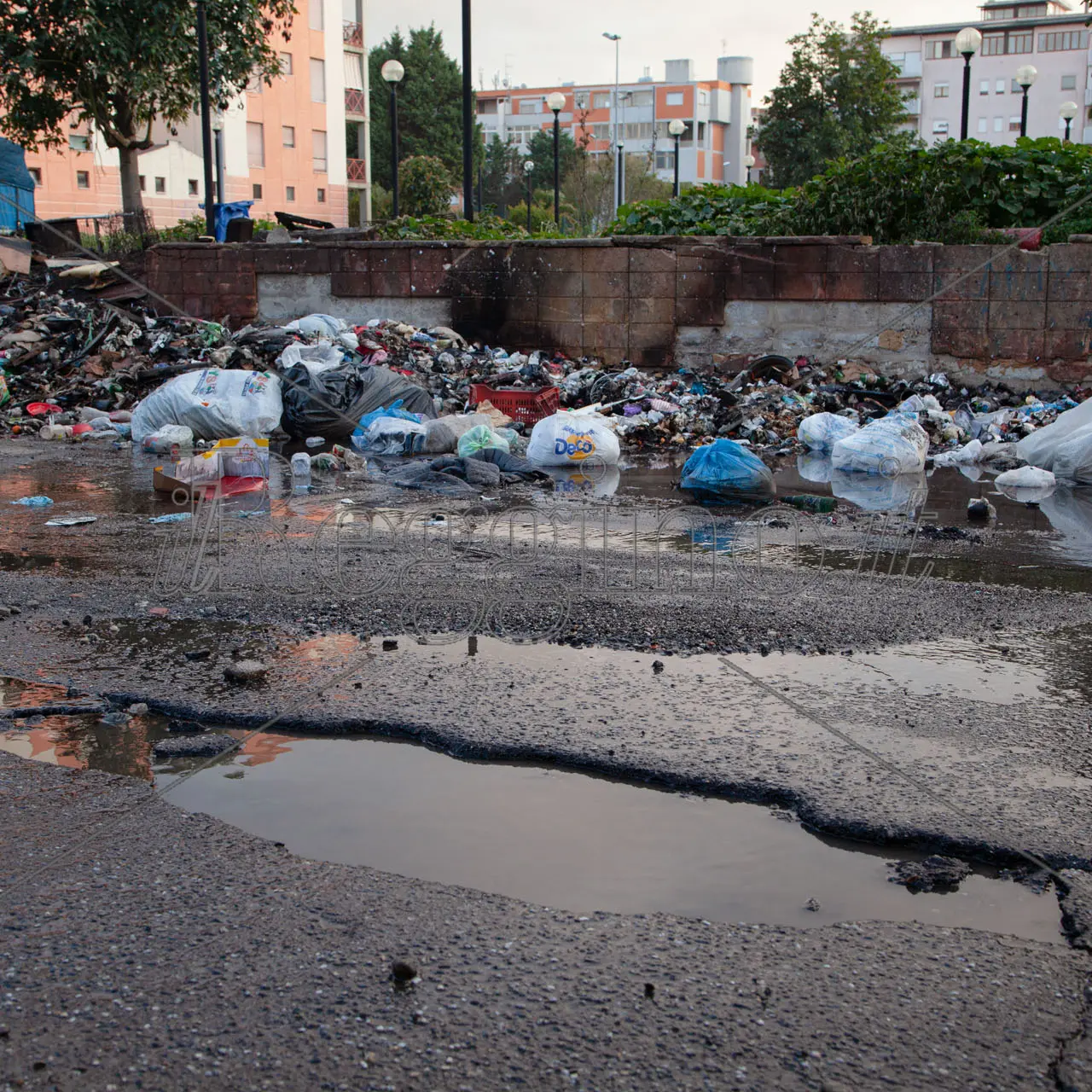 Emergenza rifiuti a Reggio Calabria, le associazioni ambientaliste chiedono un incontro al sindaco Falcomatà